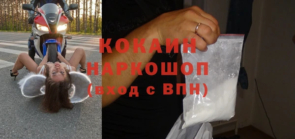индика Богородск