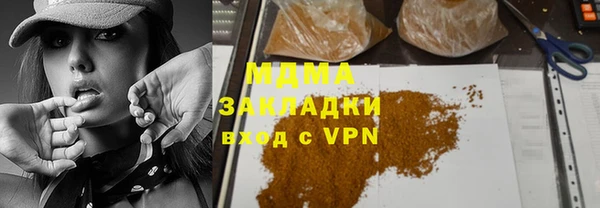 шишки Бородино