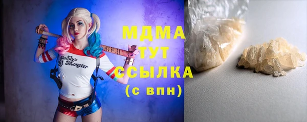 шишки Бородино