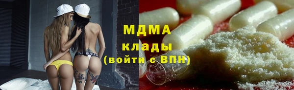 шишки Бородино