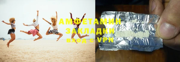 шишки Бородино