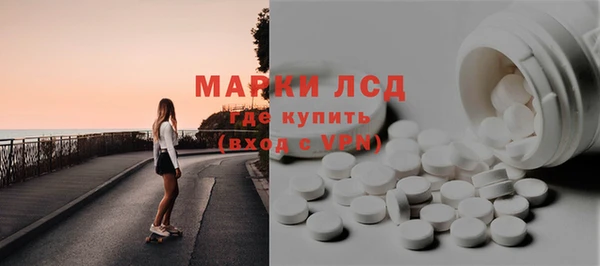 шишки Бородино