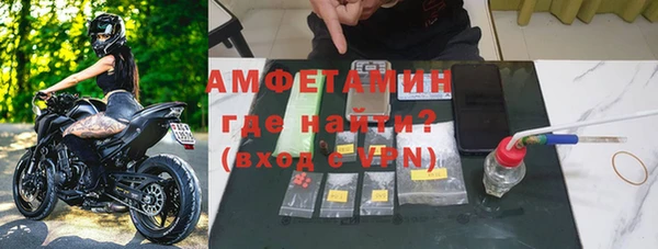 шишки Бородино