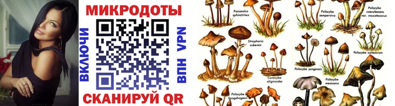 хочу   MEGA как зайти  площадка телеграм  Инза  Псилоцибиновые грибы мухоморы 