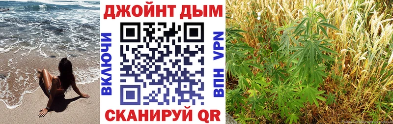 Бошки марихуана THC 21%  Инза 